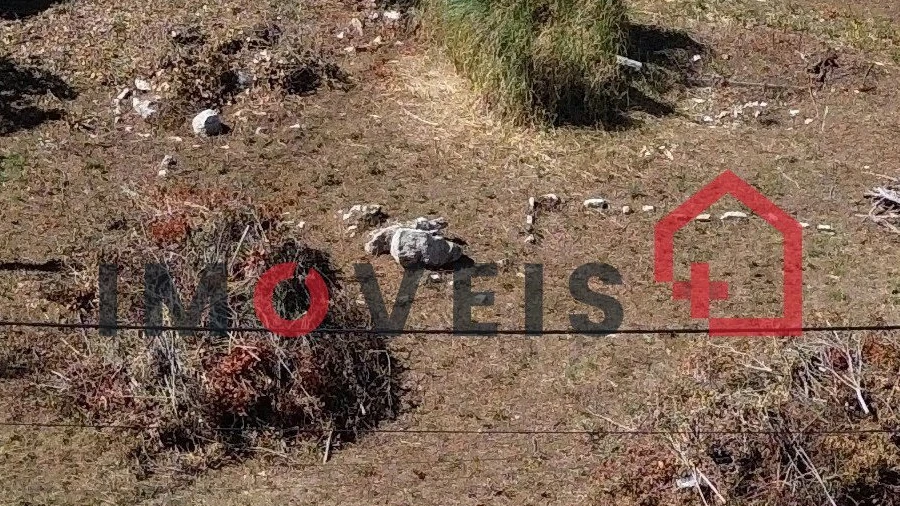 Terreno para Venda em Leiria, Pousos, Barreira e Cortes