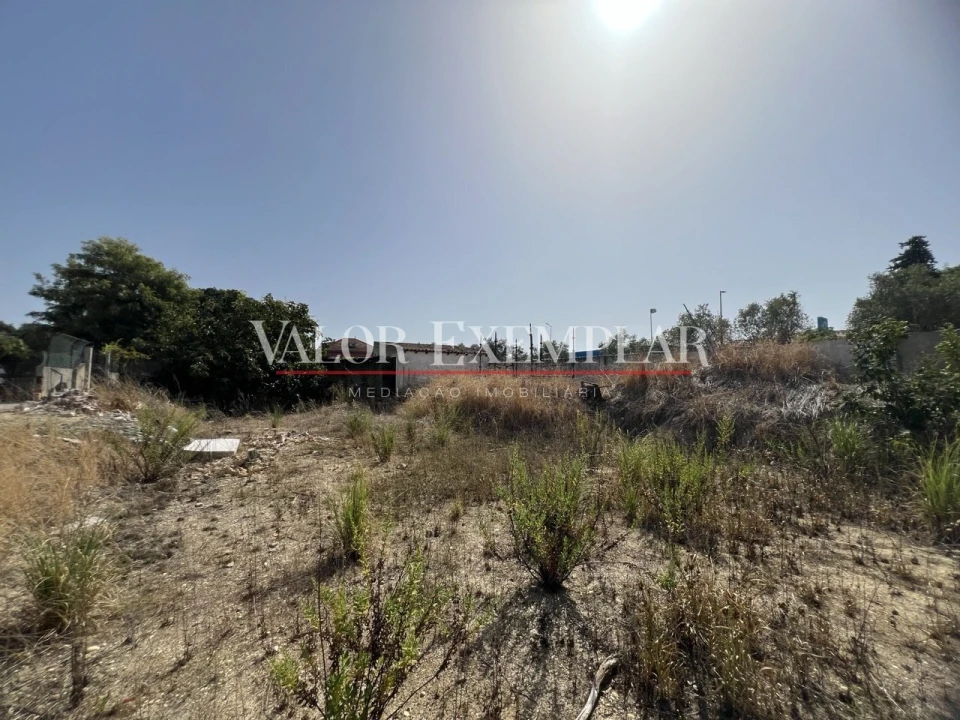 Terreno para Venda em Amora Foto 7