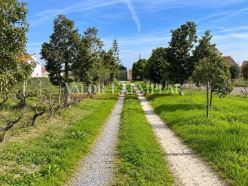 Quinta T1 para Venda em Atalaia e Alto Estanqueiro-Jardia