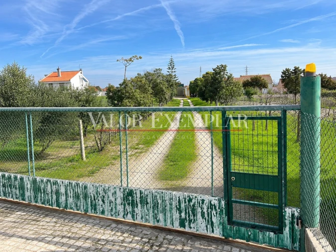 Quinta T1 para Venda em Atalaia e Alto Estanqueiro-Jardia Foto 2