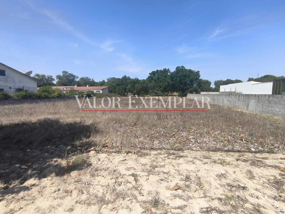 Terreno para Venda em Pegões Foto 9