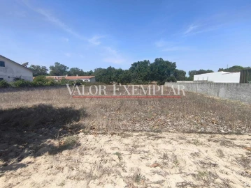 Terreno para Venda em Pegões