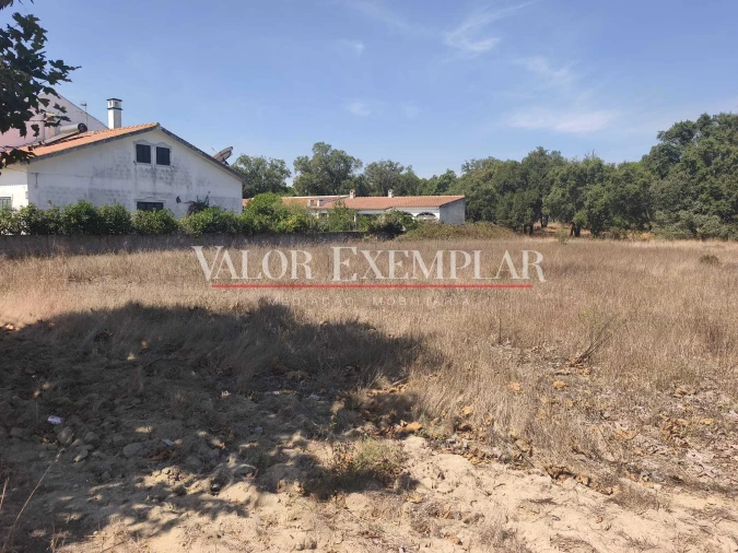 Terreno para Venda em Pegões Foto 7