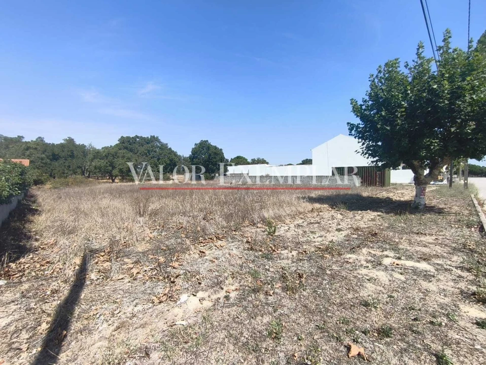 Terreno para Venda em Pegões Foto 10