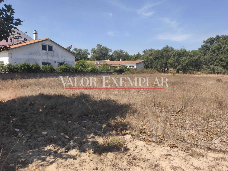 Terreno para Venda em Pegões Foto 7