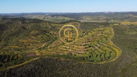 Terreno para Venda em Saboia