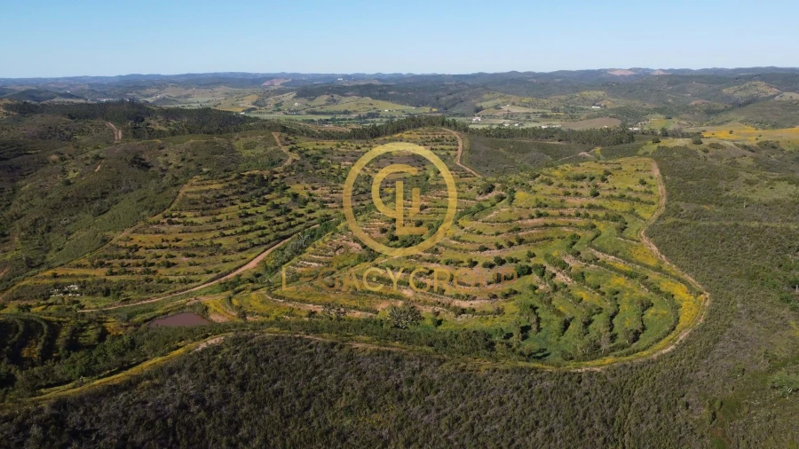 Terreno para Venda em Saboia Foto 2