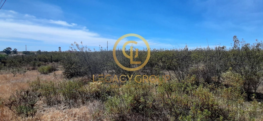 Terreno para Venda em Azinhal Foto 15