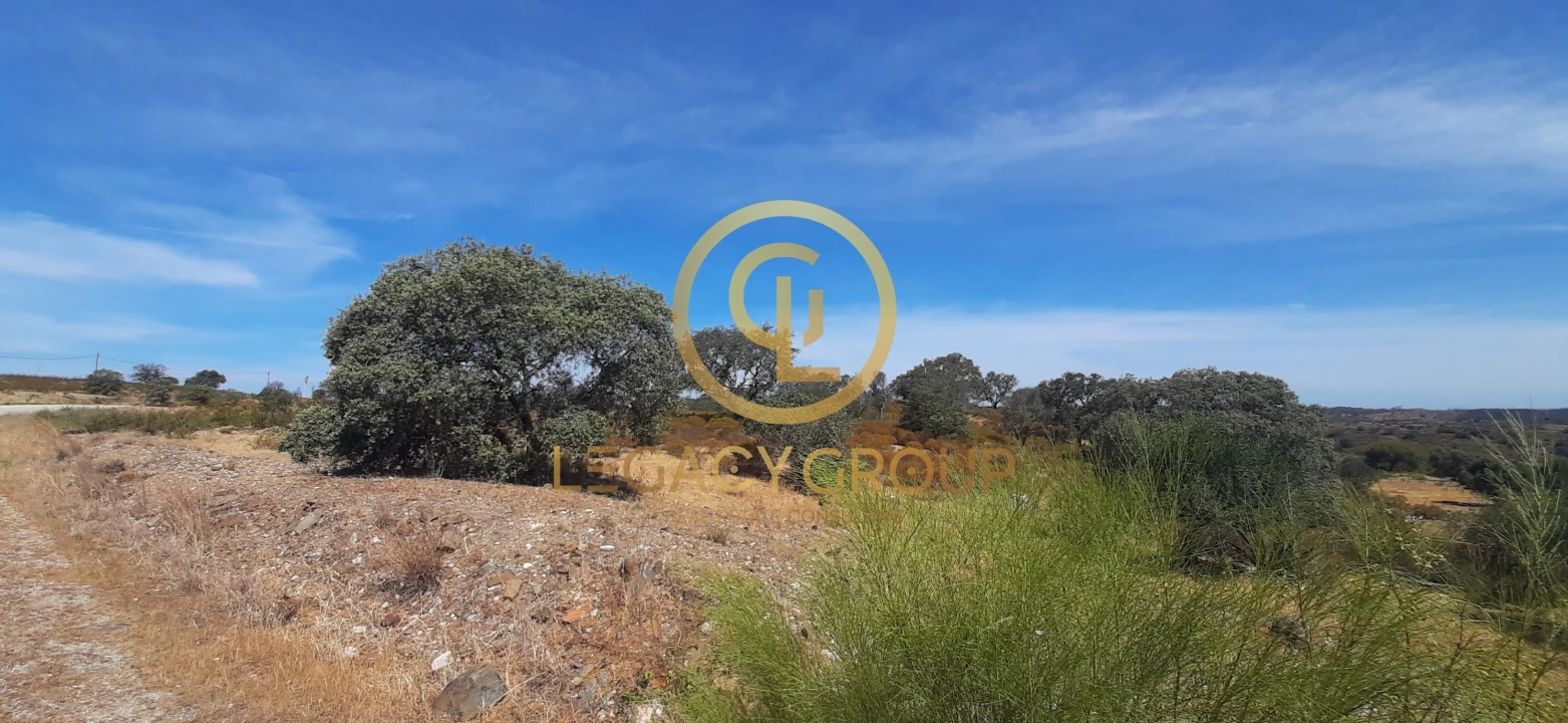 Terreno para Venda em Azinhal Foto 10