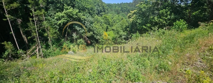 Terreno para Venda em Estorãos