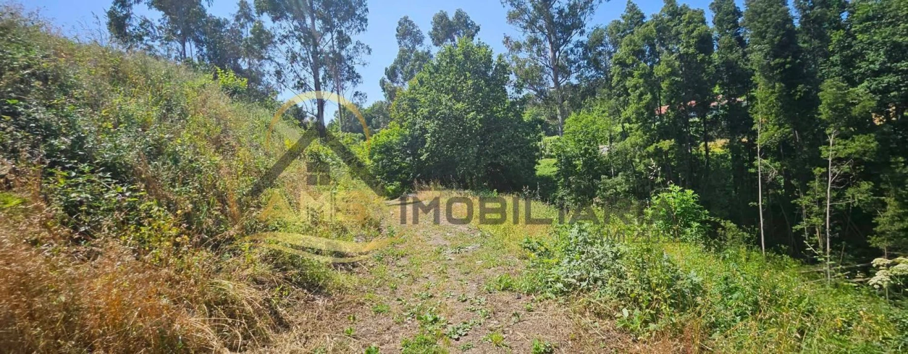 Terreno para Venda em Estorãos Foto 9