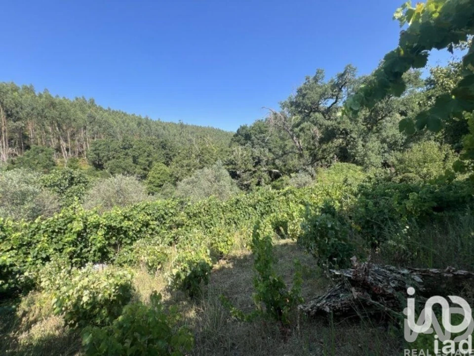 Moradia T2 para Venda em Espinhal Foto 25