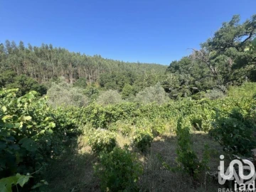 Moradia T2 para Venda em Espinhal