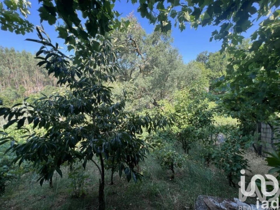 Moradia T2 para Venda em Espinhal Foto 29