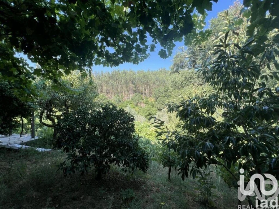 Moradia T2 para Venda em Espinhal Foto 24