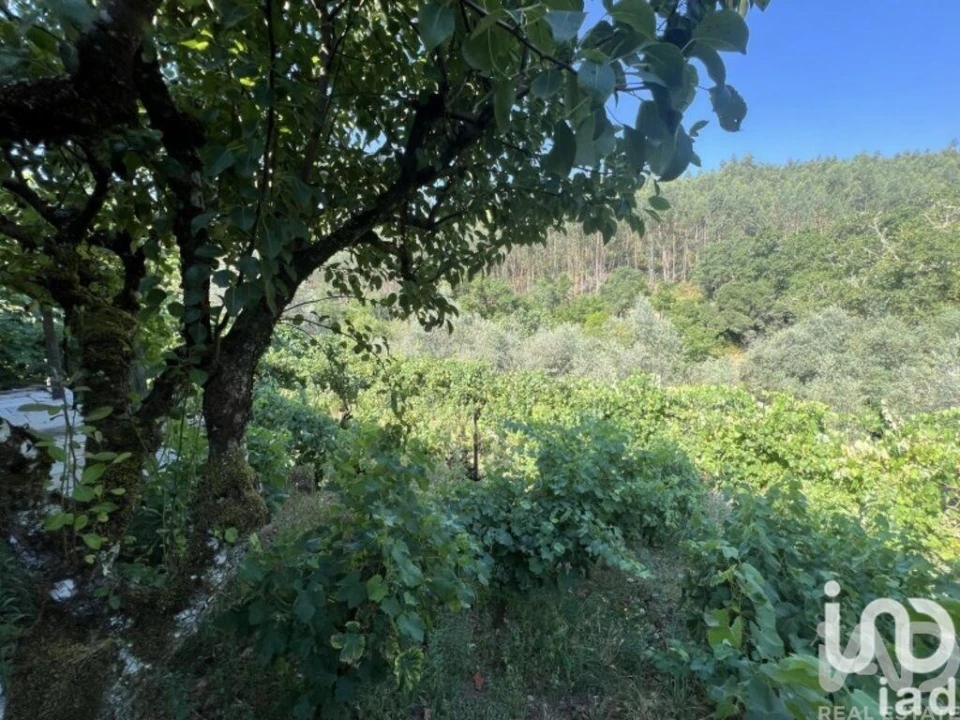 Moradia T2 para Venda em Espinhal Foto 18