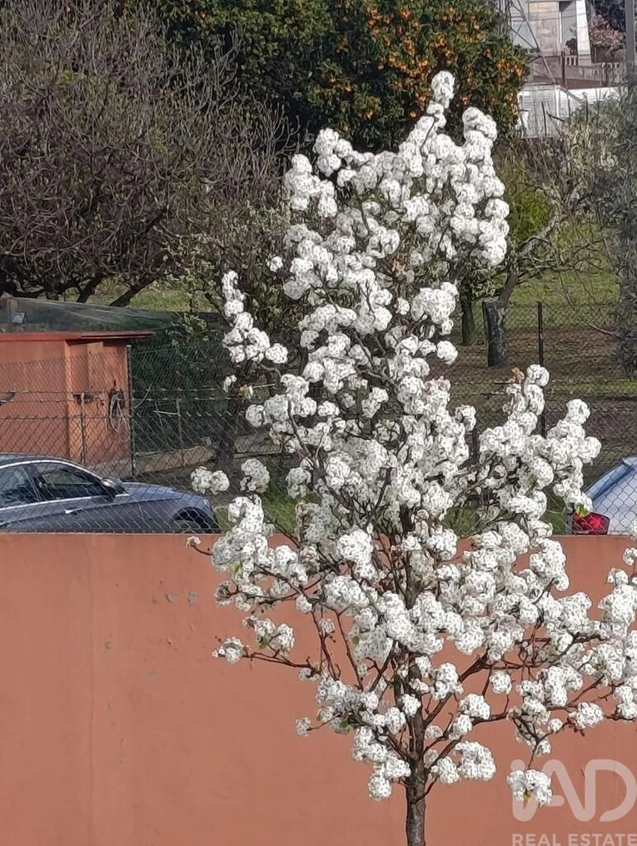 Moradia T5 para Venda em São Mamede de Infesta e Senhora da Hora Foto 21