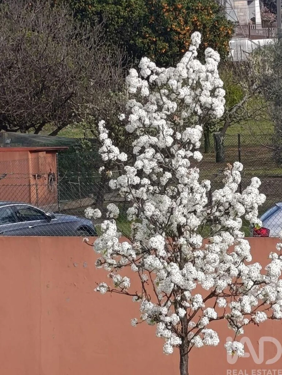 Moradia T5 para Venda em São Mamede de Infesta e Senhora da Hora Foto 21