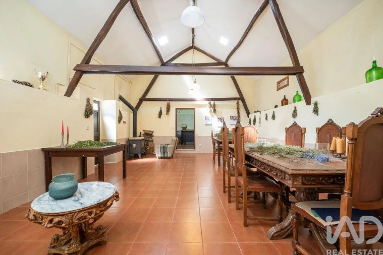 Quinta para Venda em Nossa Senhora do Pranto Foto 20