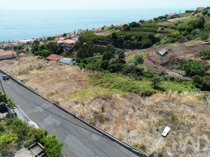 Terreno para Venda em Estreito da Calheta Foto 4