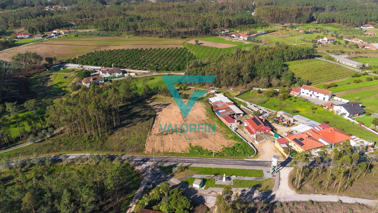 Terreno para Venda em Souto da Carpalhosa e Ortigosa Foto 6