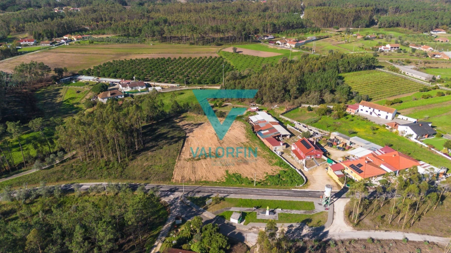 Terreno para Venda em Souto da Carpalhosa e Ortigosa Foto 6