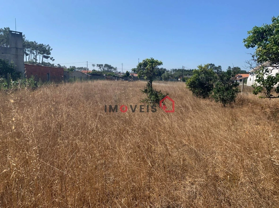 Terreno para Venda em Monte Redondo e Carreira Foto 2