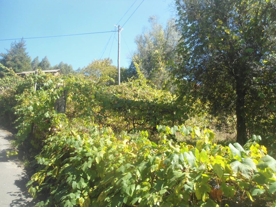 Moradia T3 para Venda em Covas Foto 12
