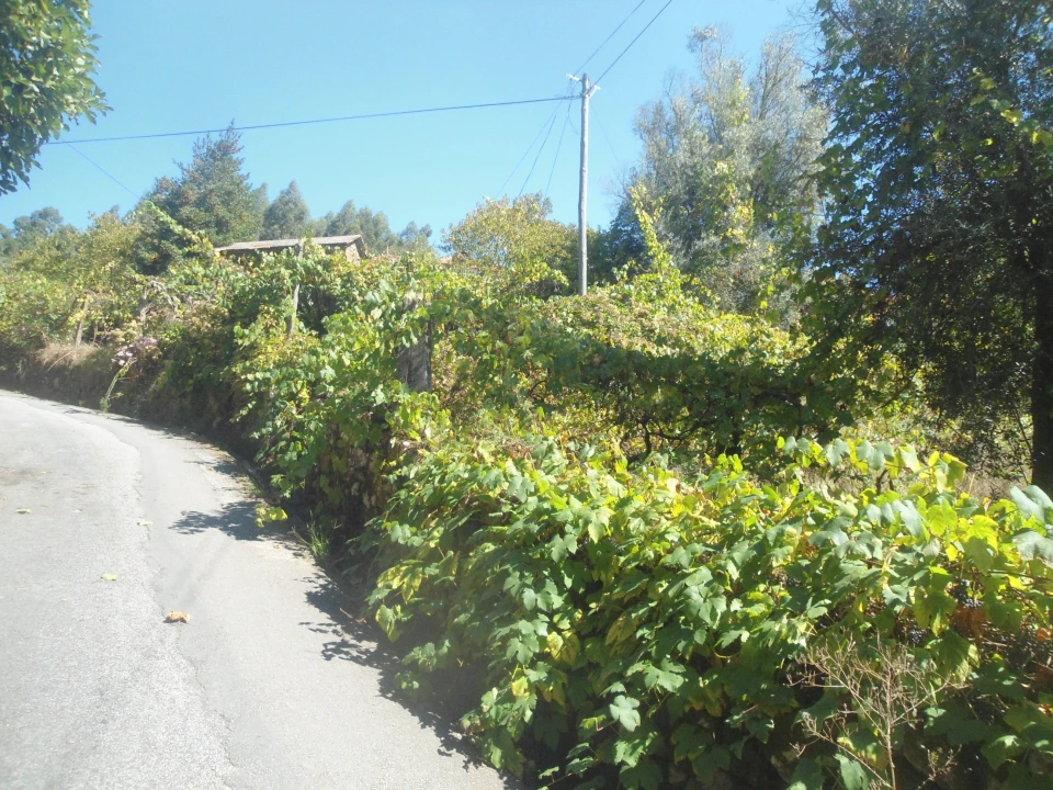 Moradia T3 para Venda em Covas Foto 13
