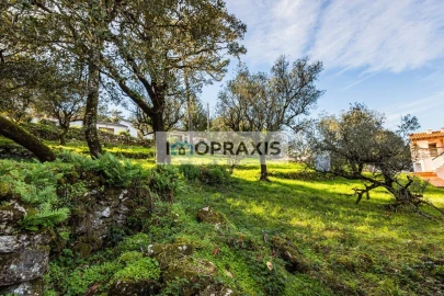 Moradia T2 para Venda em São Mamede