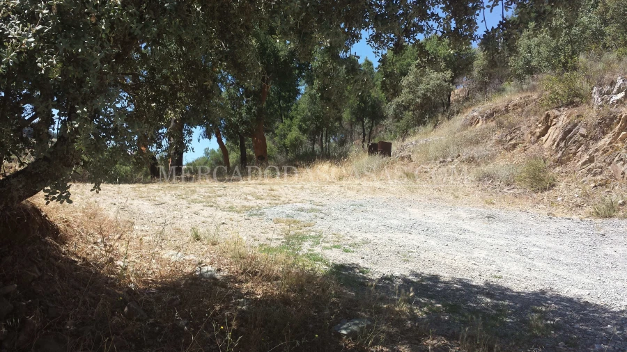 Terreno para Venda em Samil Foto 6