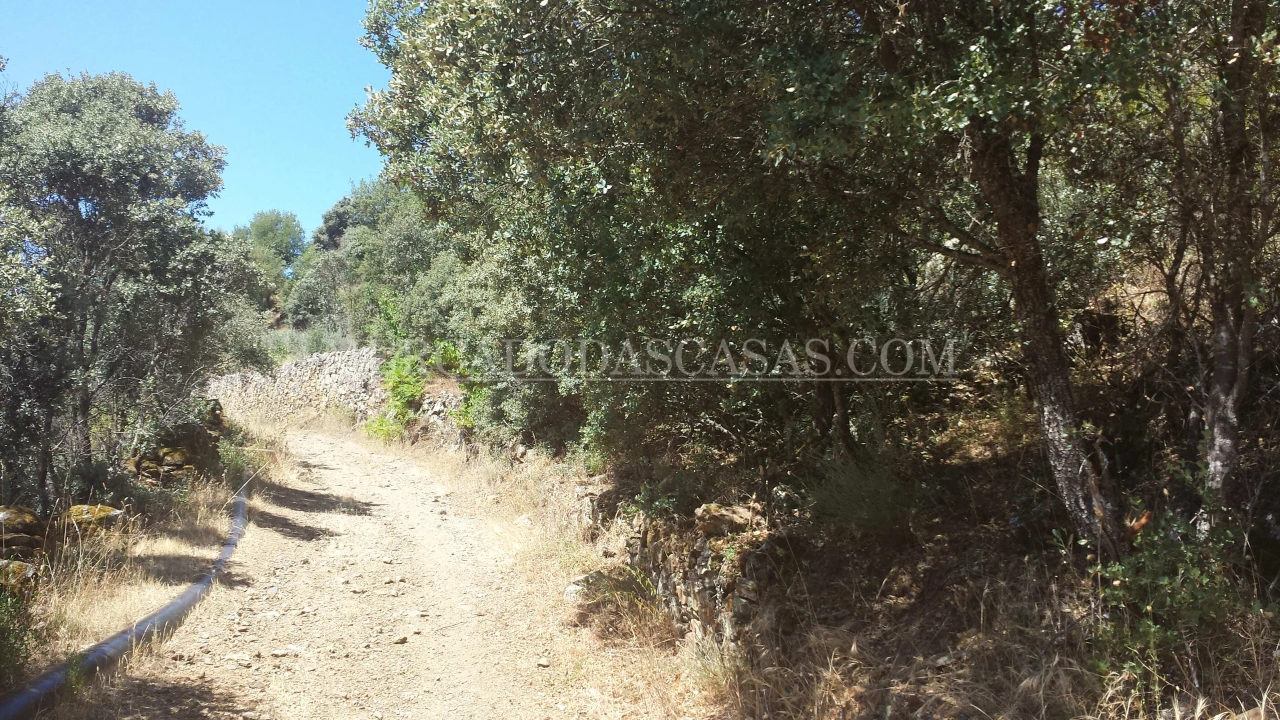 Terreno para Venda em Samil Foto 3