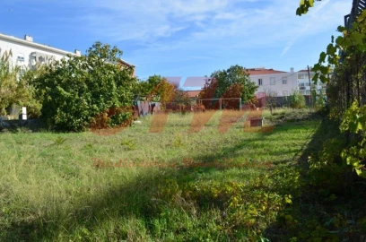 Terreno para Venda em Ajuda
