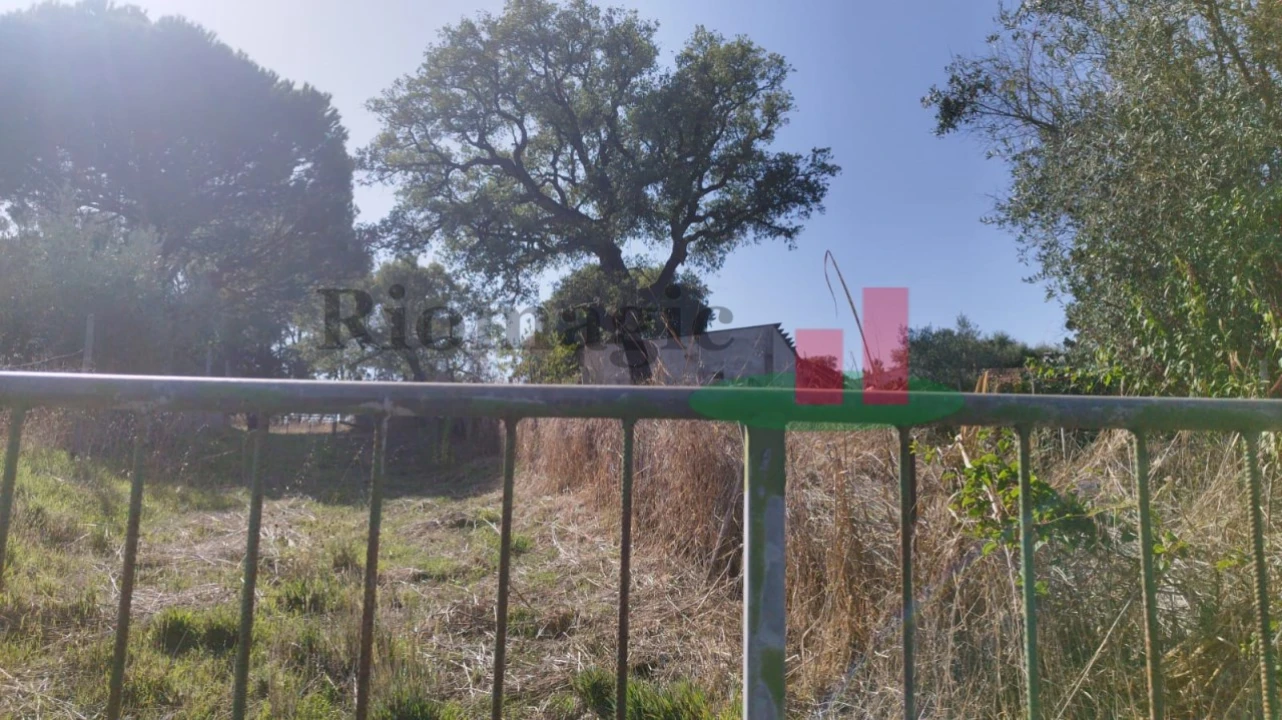 Terreno Misto para Venda em Rio Maior Foto 2