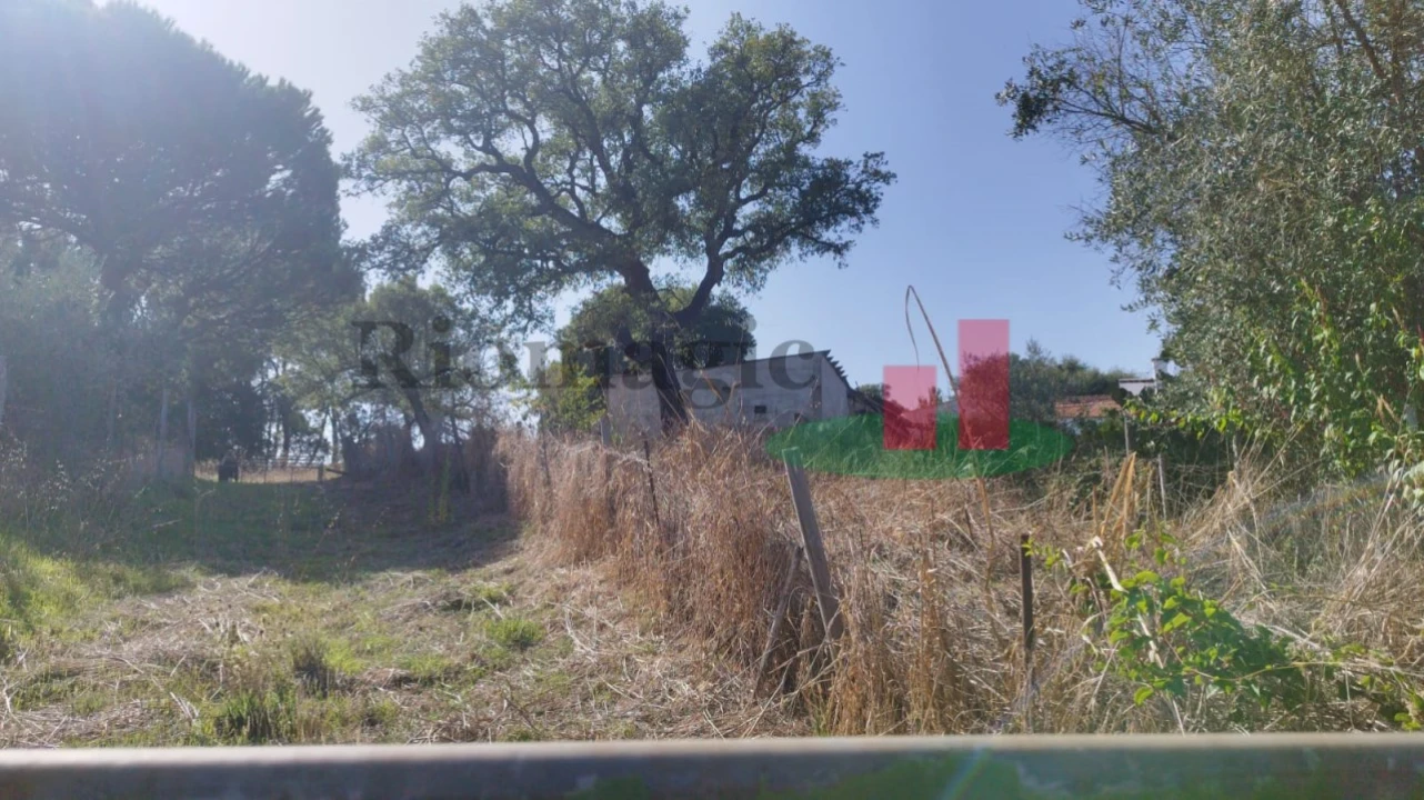 Terreno Misto para Venda em Rio Maior Foto 3