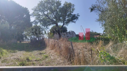 Terreno Misto para Venda em Rio Maior