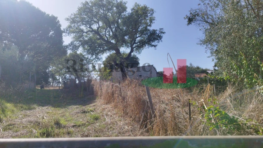 Terreno Misto para Venda em Rio Maior Foto 3