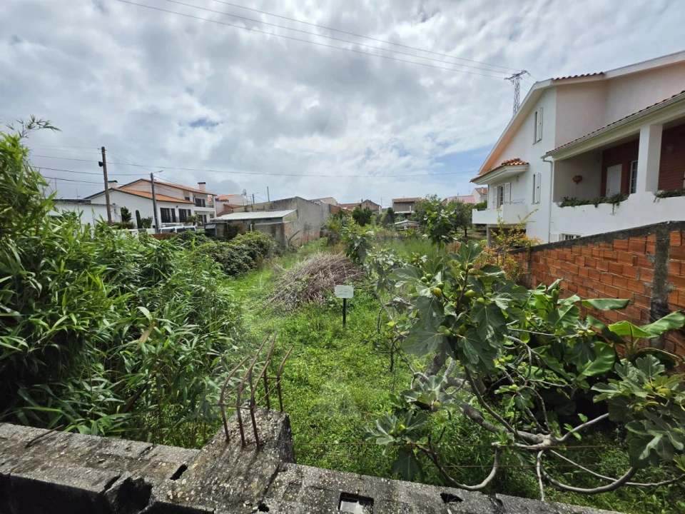 Terreno para Venda em Santa Joana Foto 1