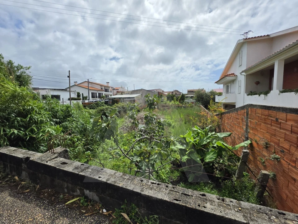 Terreno para Venda em Santa Joana Foto 2