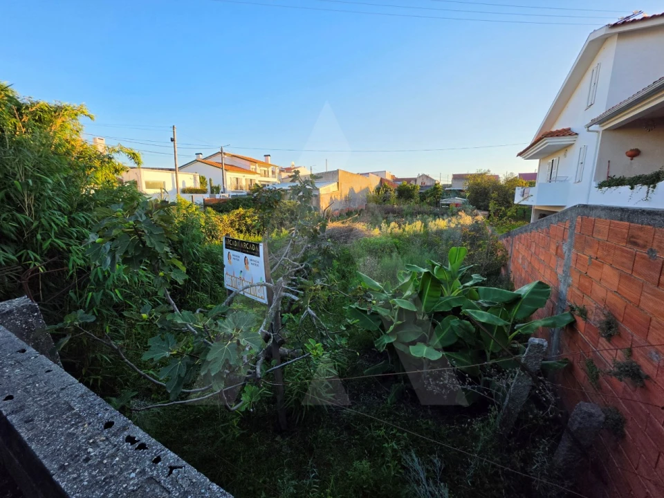 Terreno para Venda em Santa Joana Foto 7