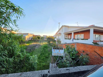 Terreno para Venda em Santa Joana
