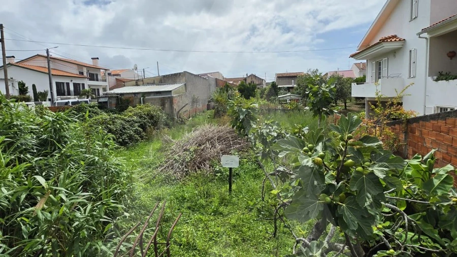 Terreno para Venda em Santa Joana