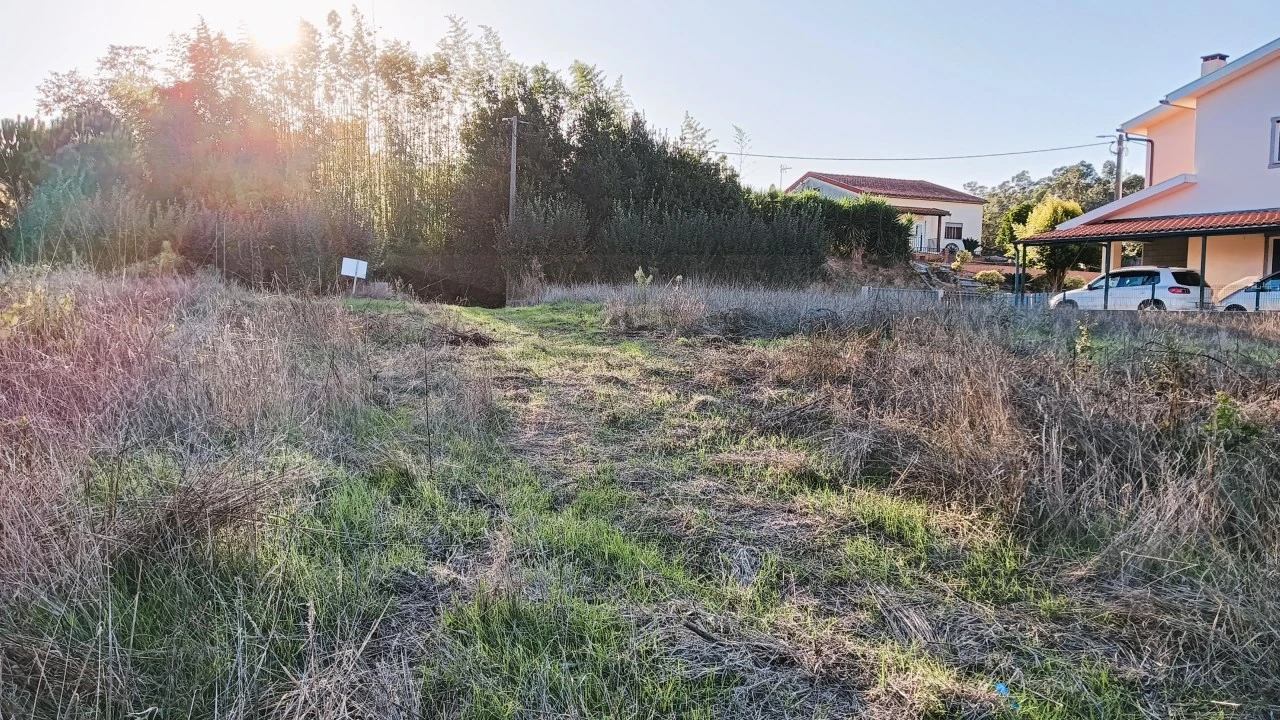 Terreno para Venda em Fermentelos Foto 3