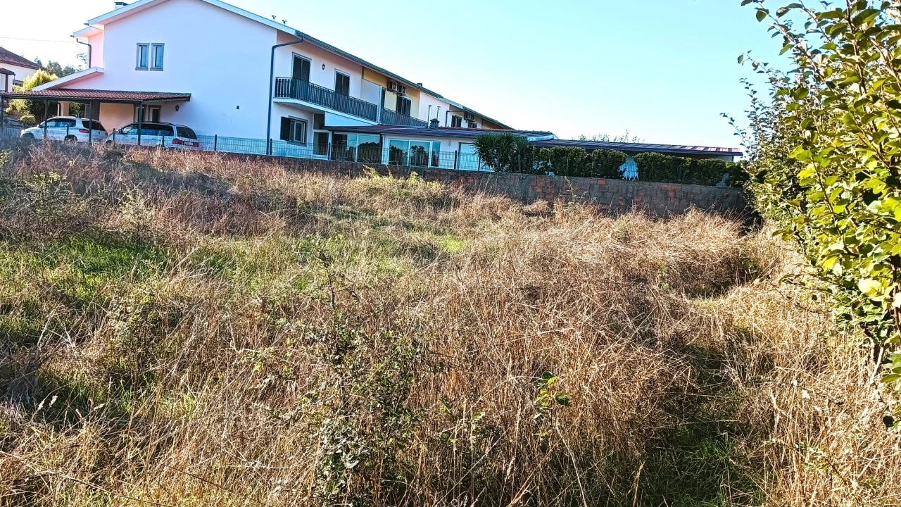 Terreno para Venda em Fermentelos Foto 4