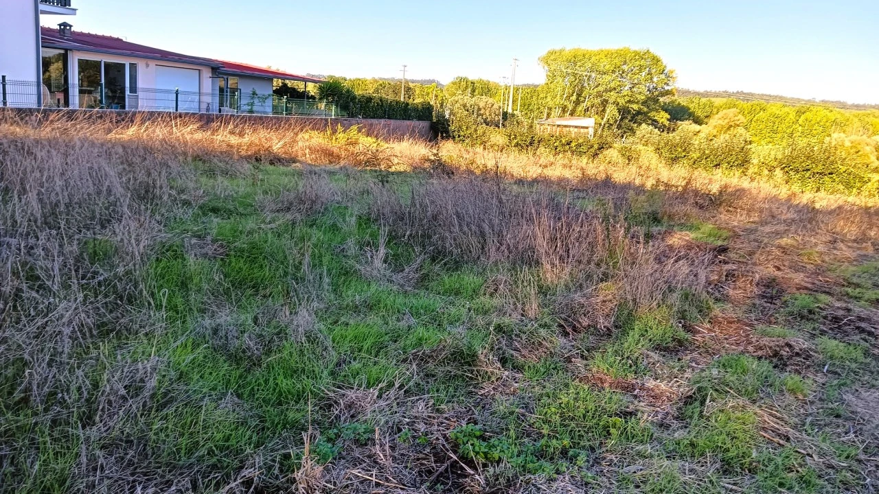 Terreno para Venda em Fermentelos Foto 6