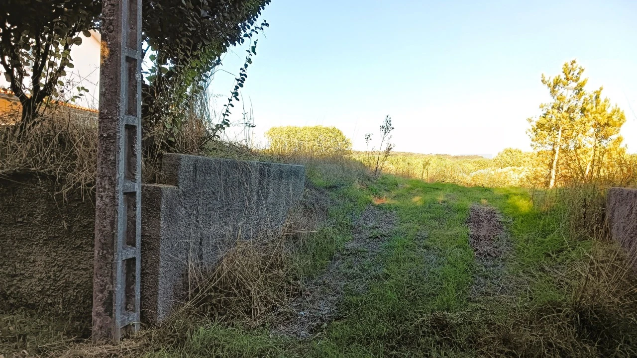 Terreno para Venda em Fermentelos Foto 9