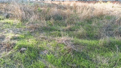 Terreno para Venda em Fermentelos