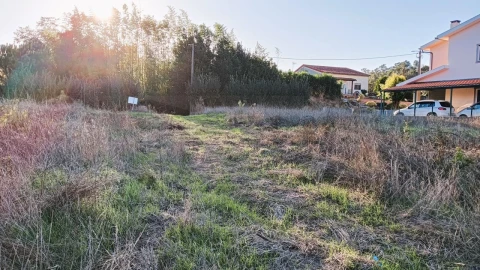 Terreno para Venda em Fermentelos