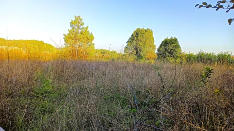 Terreno para Venda em Fermentelos