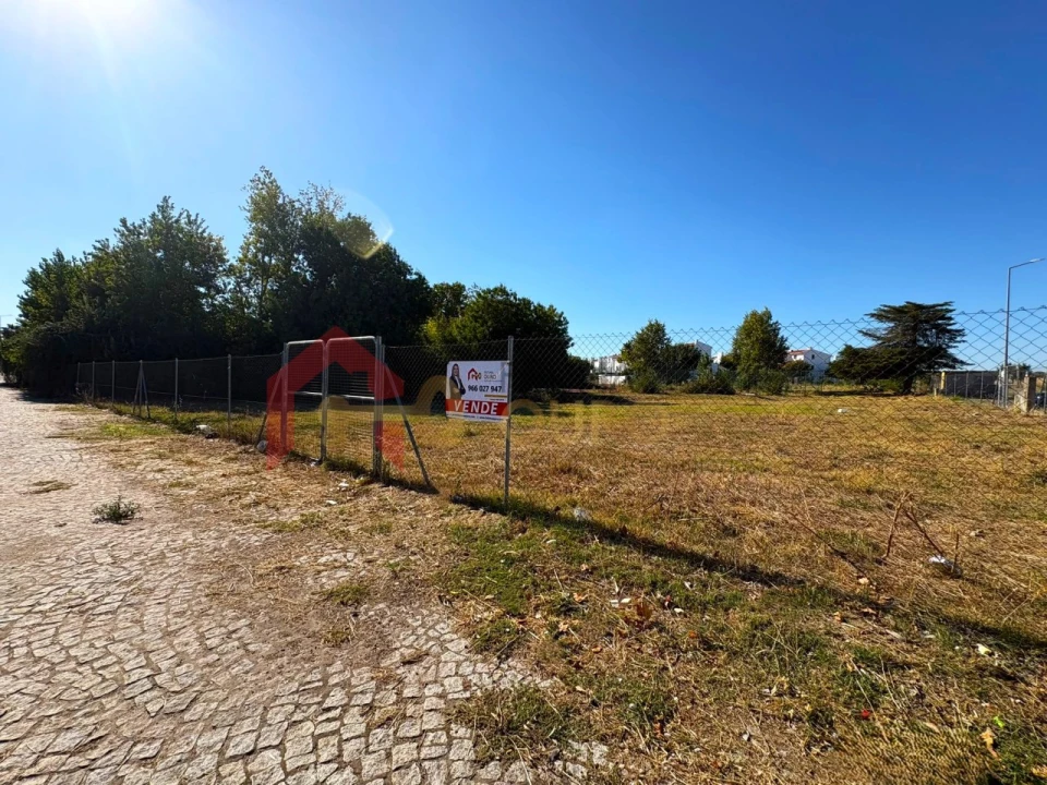 Terreno para Venda em São Bras e São Lourenço Foto 1